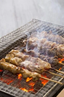 Oldenhof Konro Grill Diatomite Japanse Barbecue B-9 31 X 23 X 20 Cm -Goedkoop Barbecue Winkel shutterstock 556753543 2
